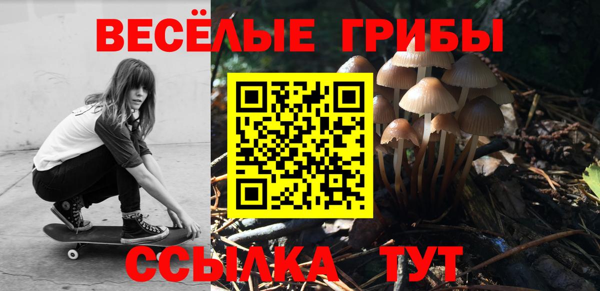 Тверь  Псилоцибиновые грибы Psilocybe  Вход с VPN 